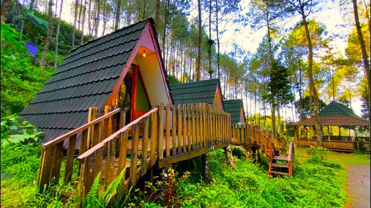 Telomoyo Nature Park: Surga Alam di Lereng Gunung Telomoyo